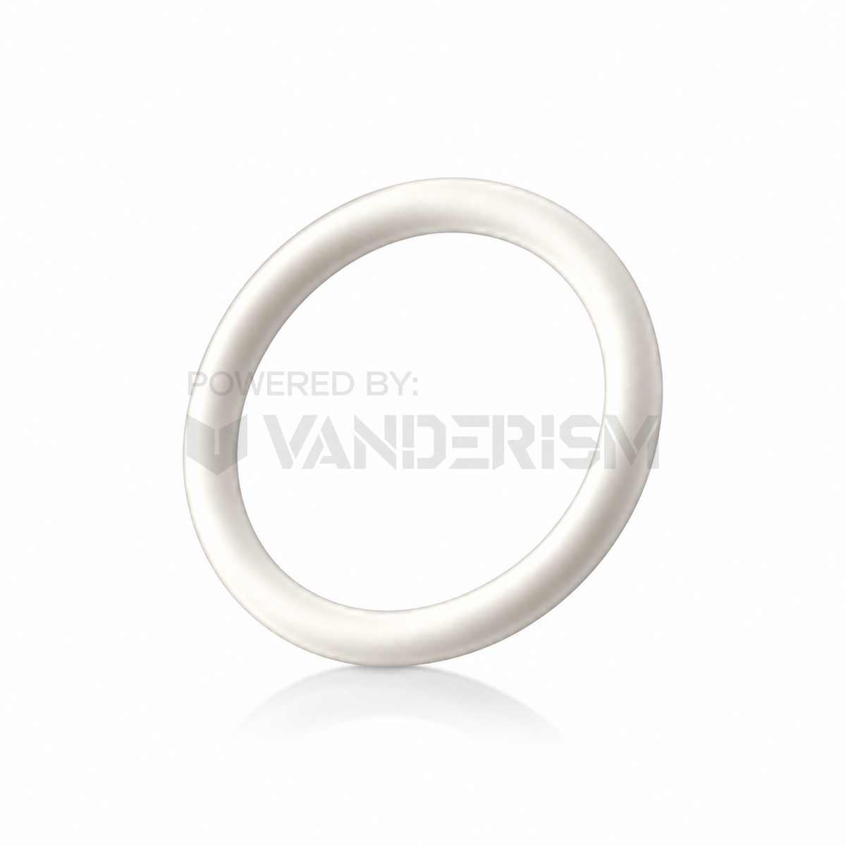PLAYERIA Rubber O-Rings